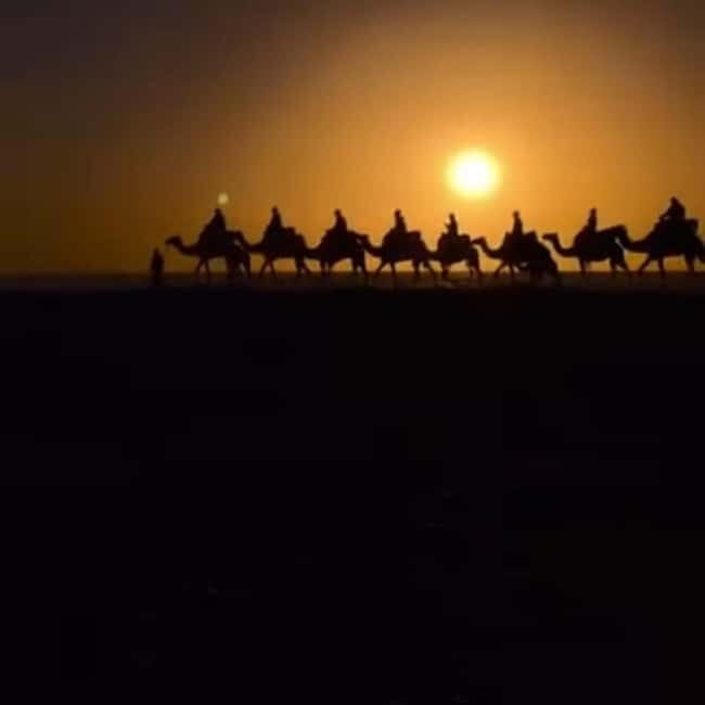 Tamri: Quad Biking, Camel Ride, and Dinner Show - An Overview of the Experience