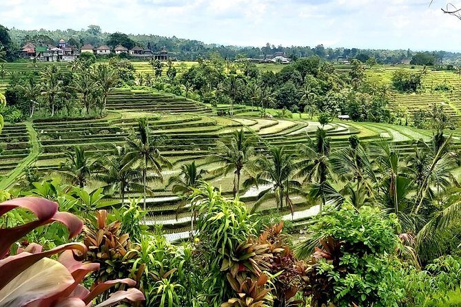 Tanah Lot and Jatiluwih Unesco Rice Terrace Private Tour - What Makes This Tour Stand Out?