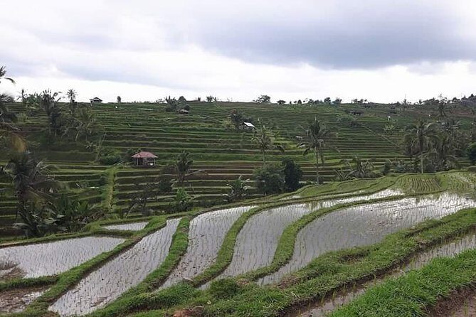 Tanah Lot and North Bali Private Tour - All inclusive - The Sum Up