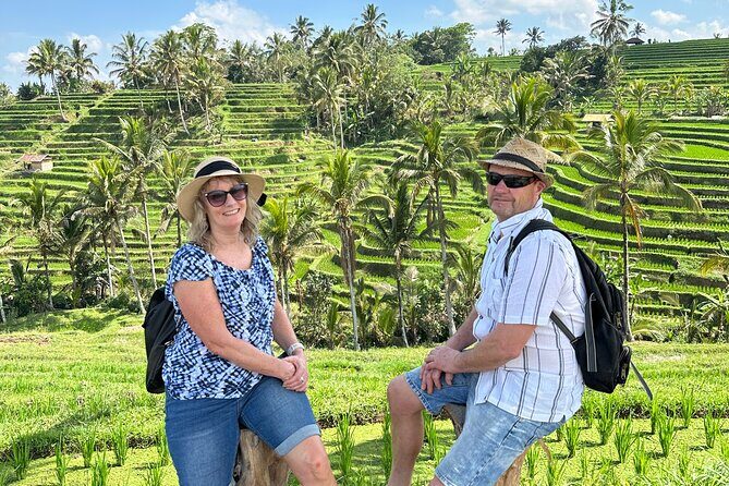 Tanah Lot Tour & North Bali Tour : All-Inclusive Best Experience - A Deep Dive into the Tour Experience