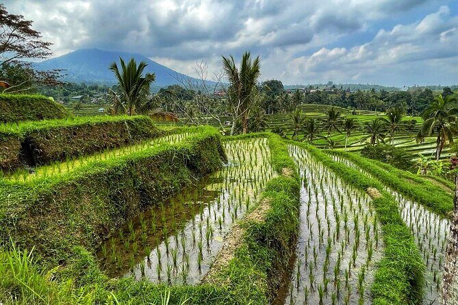 Tanah Lot - Ulun Danu Beratan Temple - Scenic Countryside Tour - Key Points