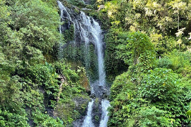 Tanah Lot - Ulun Danu Beratan Temple - Scenic Countryside Tour - The Sum Up