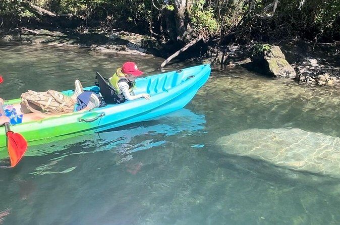 Tandem Kayak Rental for Kings Bay Three Sisters Springs - Who Will Enjoy This Experience?