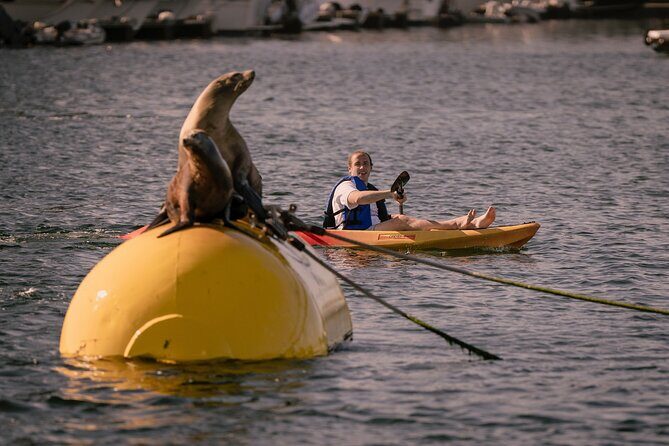 Tandem Kayak Rentals in Mission Bay - The Practicalities: Price, Booking, and Safety