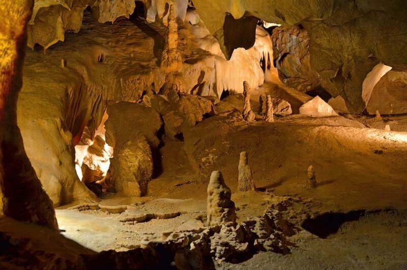 Tanga: Amani Nature Reserve, Amboni Caves, and Pangani - Who Will Enjoy This Tour?