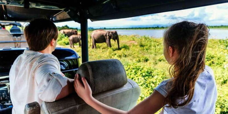 Tangalle/Hiriketiya: Udawalawa Safari & Elephant Transit Hom - Final Thoughts
