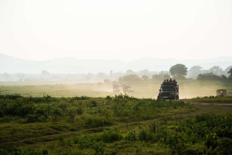 Tangalle/Hiriketiya: Yala National Park Safari in a 4x4 - Detailed Review of the Yala National Park Safari