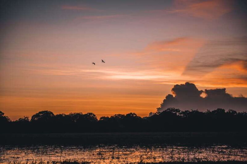 Tangalle/Hiriketiya: Yala National Park Safari in a 4x4 - FAQ