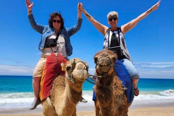 Tanger private tour cruise ship -up Luxury City Tour - Experience the Best of Tangier with a Private Luxury City Tour