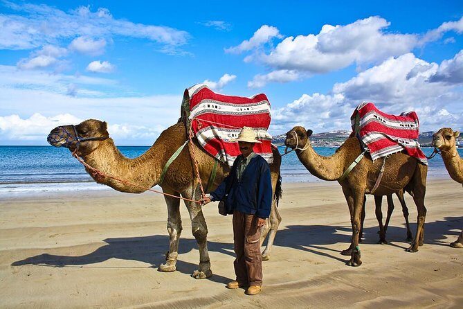 Tangier 3 Hours Sightseeing & Camel ride - Itinerary Breakdown: What Can You Expect?
