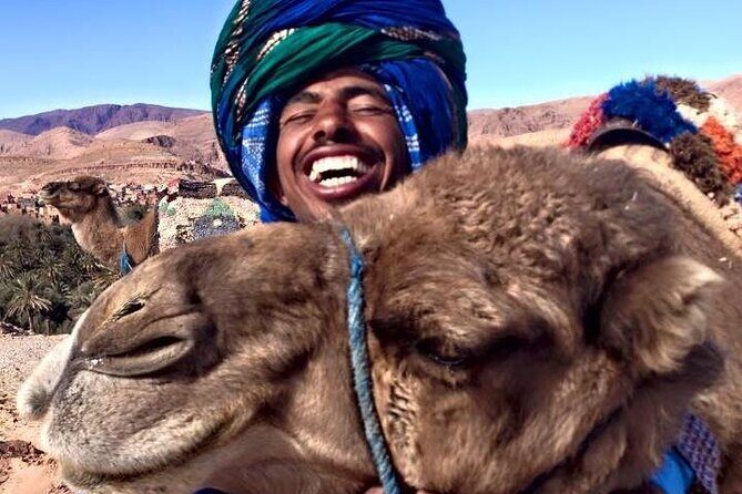 Tangier 3 Hours Sightseeing & Camel ride - The Experience: What You’ll Really Feel