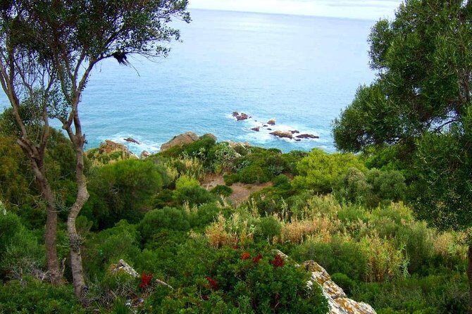 Tangier 3 Hours Sightseeing & Camel ride - Final Thoughts