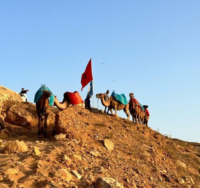 Tangier: Achakar Beach Sunset Camel Ride & Moroccan Dinner - What to Expect During the Camel Ride