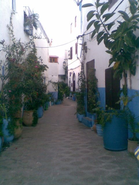 Tangier and Asilah Full Day Tour from Tangier - Key Points
