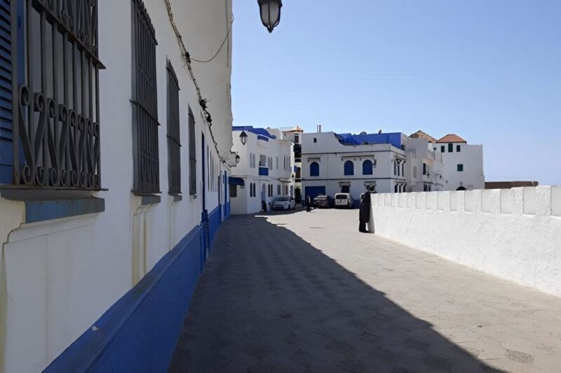 Tangier: Assilah Private Tour with Camel Ride - Practical Tips for Making the Most of Your Day