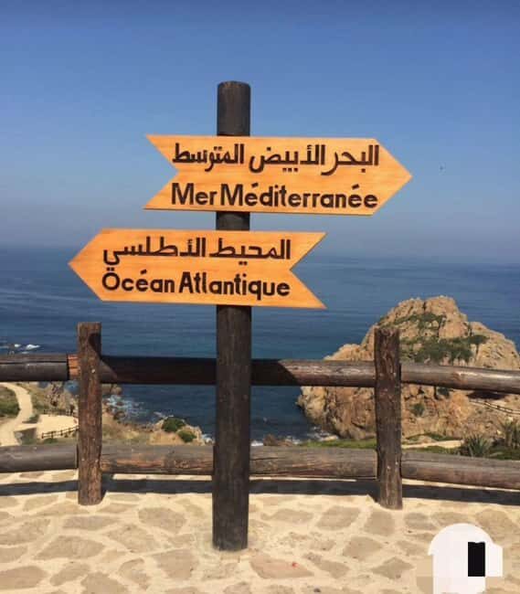 Tangier: Day Trip from Tarifa To Tanger { camel ride - Transportation and Logistics