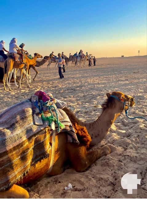 Tangier: Day Trip from Tarifa To Tanger { camel ride - Is This Tour Worth the Price?
