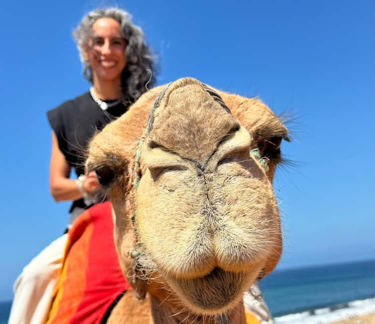 Tangier Food Tour : Highlights, Medina, Souks & Camel. - The Sum Up