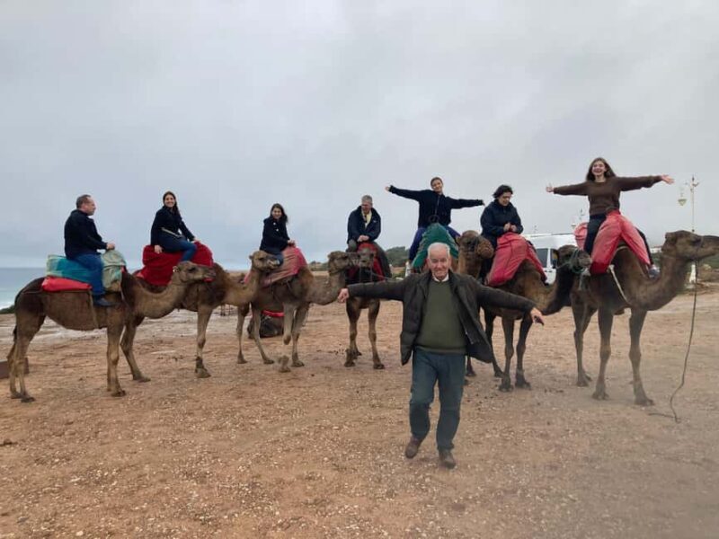 Tangier Full-Day Grand Tour - Who Should Consider This Tour?