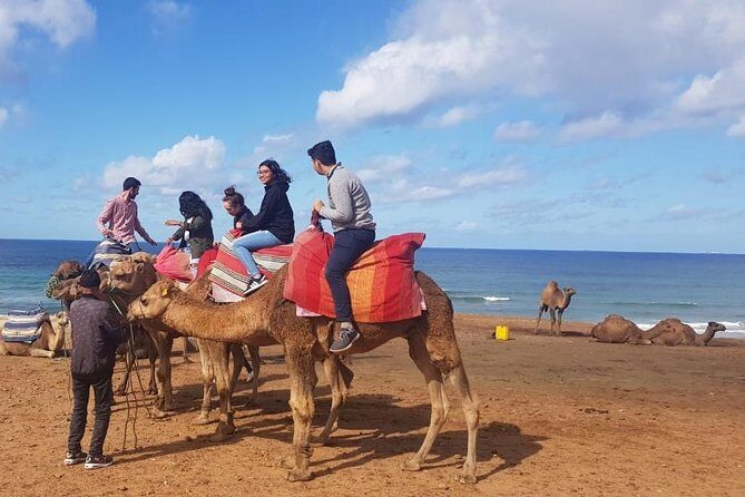 Tangier : Guided City Tour Around Main Points of Interest - The Experience from Travelers’ Perspectives