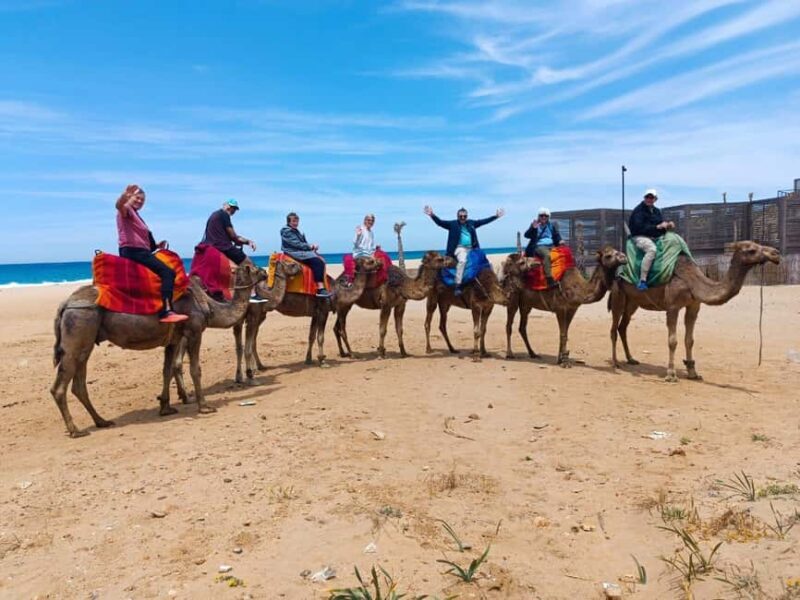 Tangier : Guided City Tour Around Main Points of Interest - Logistics and Practical Details