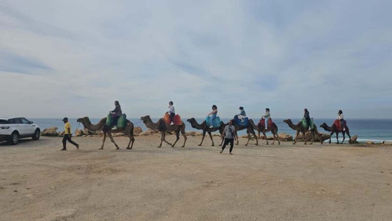 Tangier : Guided City Tour Around Main Points of Interest - FAQs