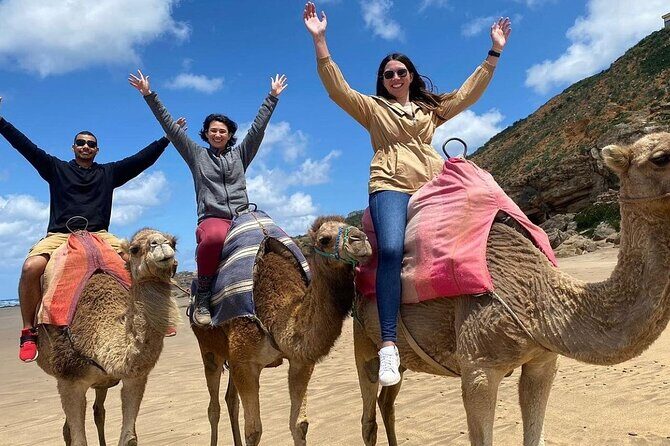 Tangier in a Day: From Medina Mystique to Ocean Views - The Tangier Medina: Walking Through History and Color