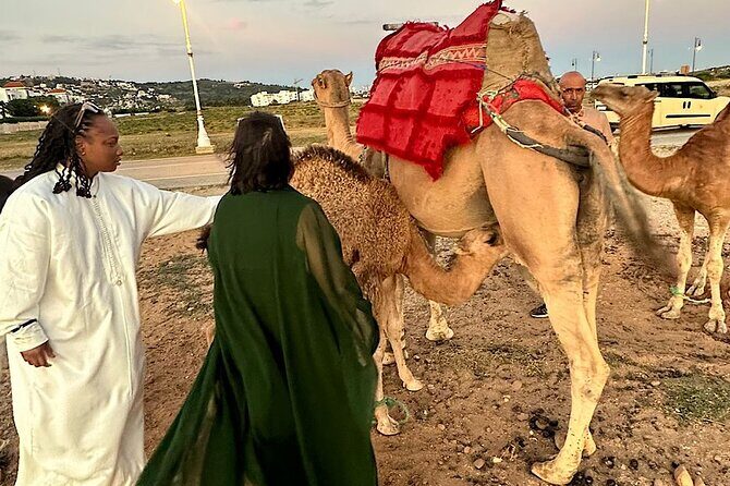 Tangier Package: Camel Ride, Cap Spartel, Hercules Caves & Dining - A Practical Guide to the Tangier Package: What to Expect
