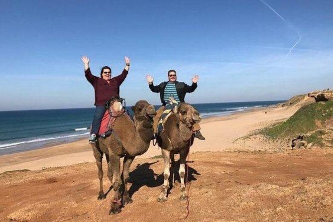Tangier Private Day Trip from Casablanca by High Speed Train - The Itinerary in Detail: What to Expect