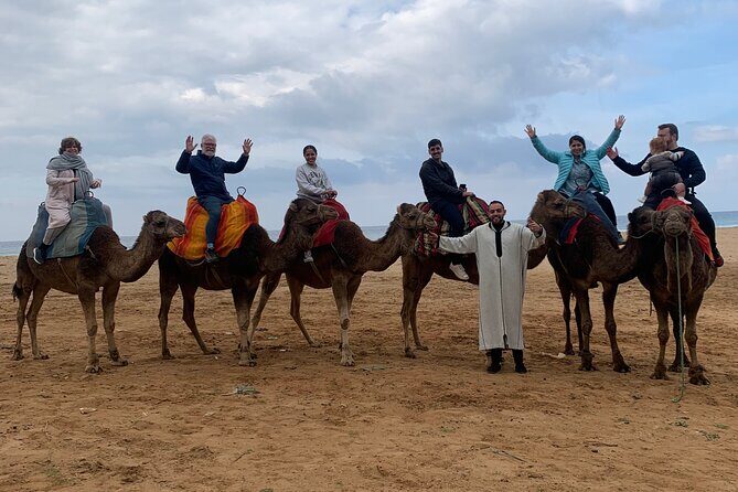 Tangier Private Full Day Tour Including Ferry Ticket & Camel Ride - Who This Tour Is Best For