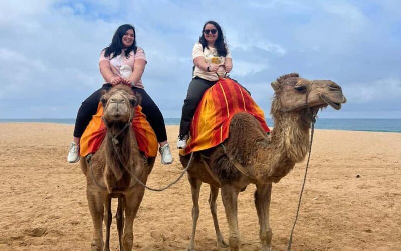 Tangier Private Tour Pick Up from Cruise Ship All inclusive - Exploring Tangier: What to Expect on the Tour