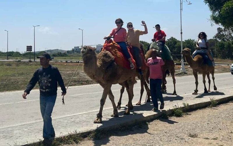 Tangier Private Tour Pick Up from Cruise Ship All inclusive - FAQs
