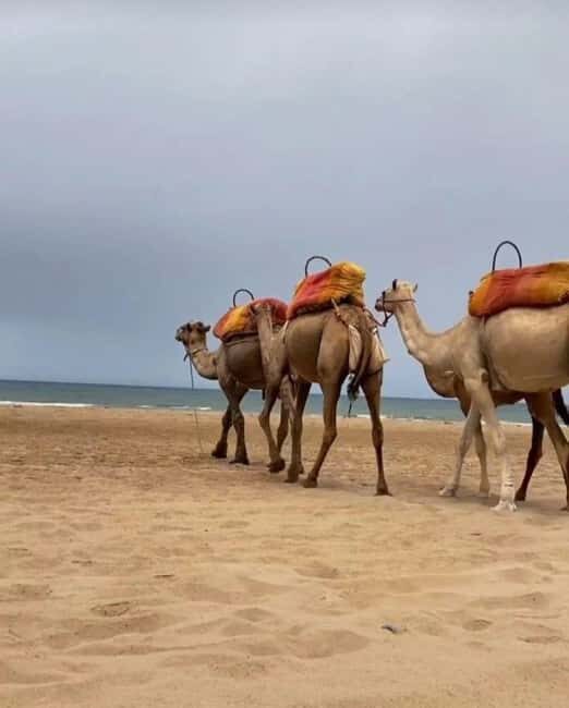 Tangier: Sunset tour with tea, camel ride & Cap Spartel - Who This Tour Is Best For