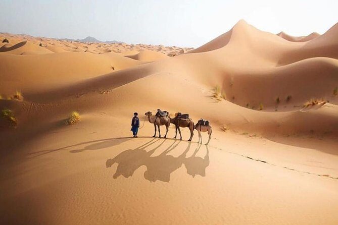 Tangier to Sahara desert with overnight stay in desert camp 4 days - Who Should Consider This Tour?