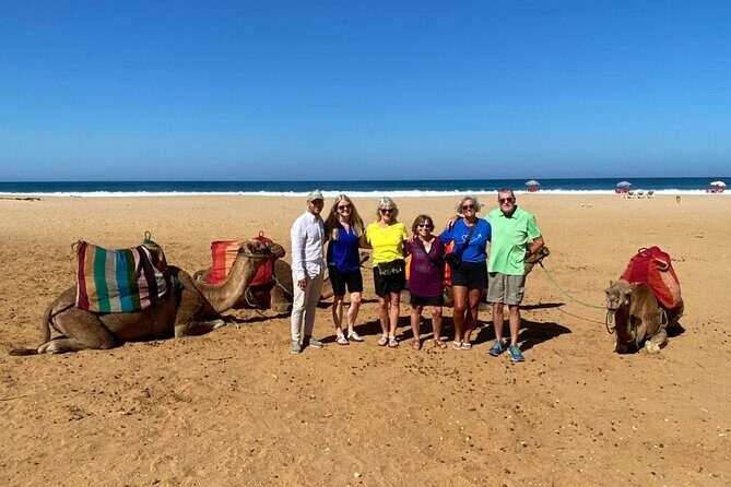 Tangier tour from Malaga all inclusive - An In-Depth Look at the Tour Experience