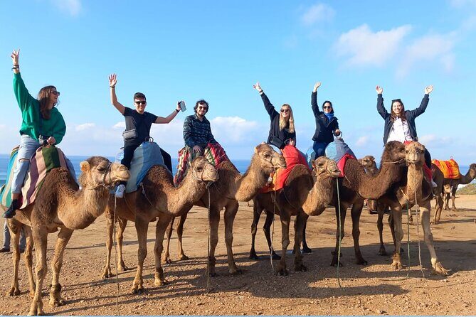 Tangier Uncovered: A Full Day Adventure through Moroccos Jewel - An Introduction to Tangier and Why This Tour Works