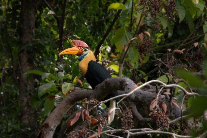 Tangkoko Bitung Manado Nature Tourism Park includes lunch. - Real Traveler Feedback: What People Say