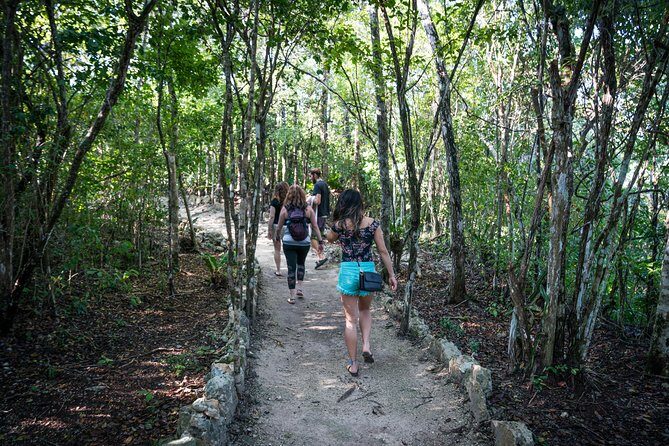 Tankah Park Five Cenotes Adventure Tour from Tulum - Reviews Highlighting the Experience