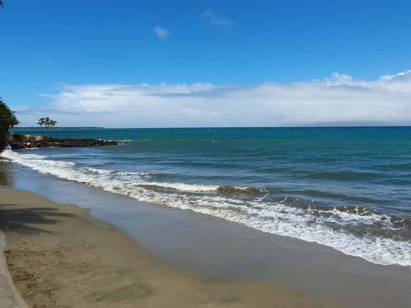 Tanoa Waterfront Hotel to Natadola Beach Round Trip - Who This Tour Is Best For