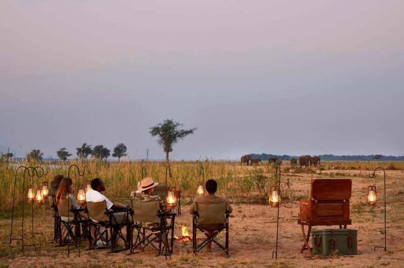 Tanzania: 10-Day Treasures of Wild Luxury Safari by Amara - The Value of Guided Game Drives and Expert Guides