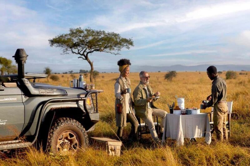 Tanzania: 10-Day Treasures of Wild Luxury Safari by Amara - Accommodations: Comfort Meets Authenticity