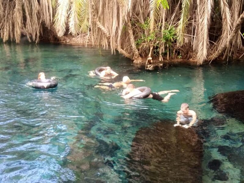 Tanzania:, 11 Days Safari and Cultural Experience - What’s Included and What to Expect