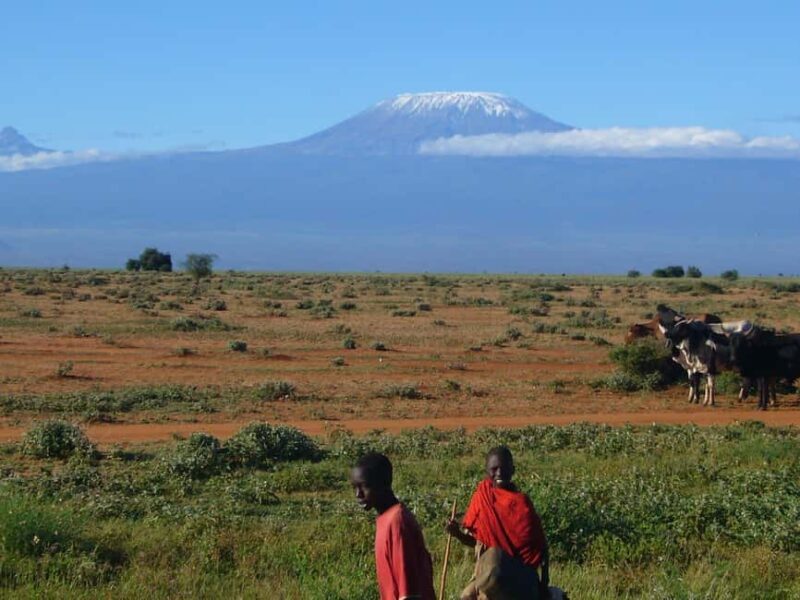 Tanzania: 12-Day Honeymoon Safari and Beach Experience - The Sum Up