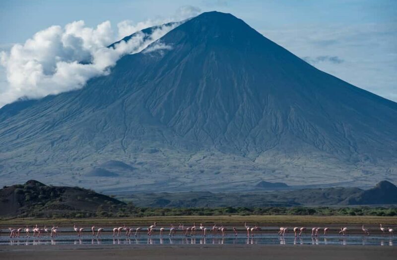 Tanzania: 15-Day Safari with Cultural tour & Zanzibar Beach - The Value of the Experience