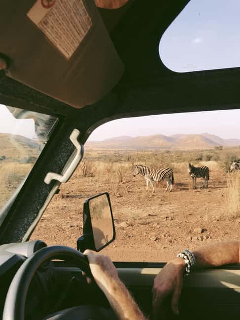 Tanzania: 2-Day Mid-Range Safari to Tarangire and Ngorongoro - A Practical Look at the Safari Experience