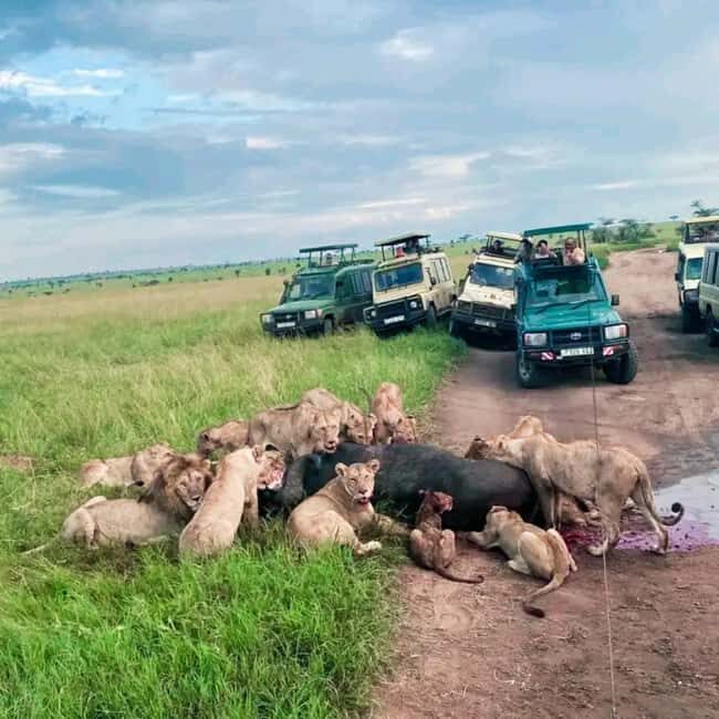 Tanzania: 3-Day Safari Tarangire, Lake Manyara, Ngorongoro - What’s Included and What’s Not