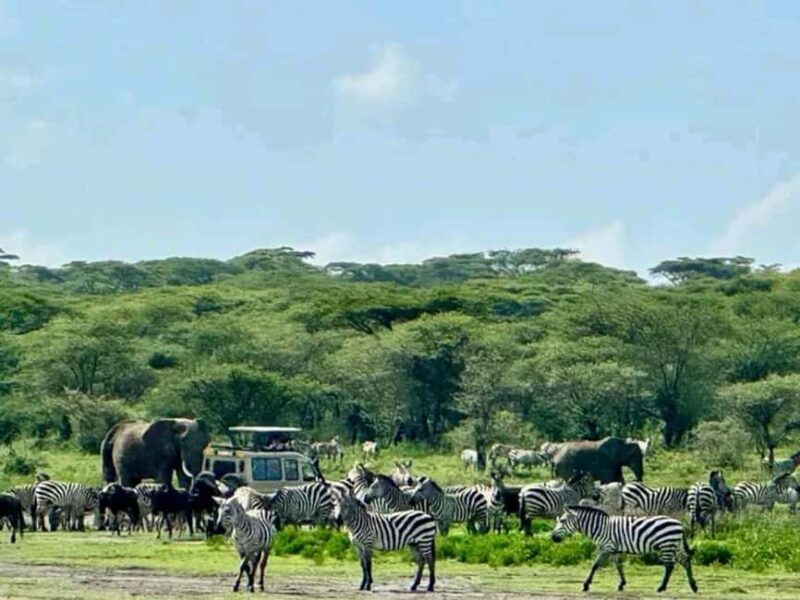 Tanzania: 3-Day Safari Tarangire, Lake Manyara, Ngorongoro - FAQs