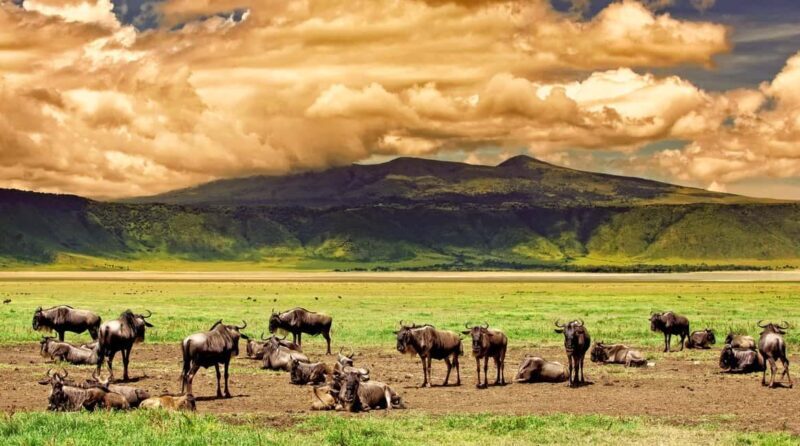 Tanzania: 3-Day Safari to Tarangire and Ngorongoro - What’s Included and What’s Not