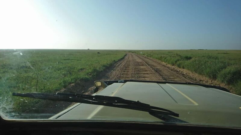 Tanzania : 3-Day Safari with Lake Manyara and Ngorongoro - A Closer Look: What to Expect on Your Safari