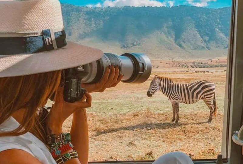 Tanzania: 3 DAYS (2 night) FULL IMMERSION Safari Adventure - An In-Depth Look at the Tanzania Safari Adventure